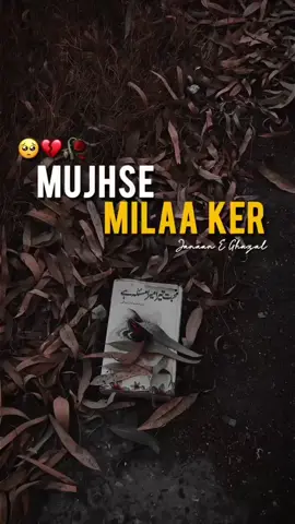 # Gillsaab 🥺🥺🥺😔🥺🥺😔😔