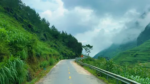 Xem hết video mới thấy cảnh đẹp #canhdep #meovac #hagiang #viralvideo 