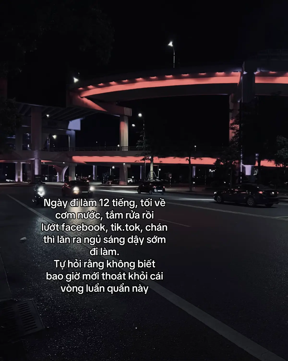 #pvd_van204 #xuhuong #tamtrang 