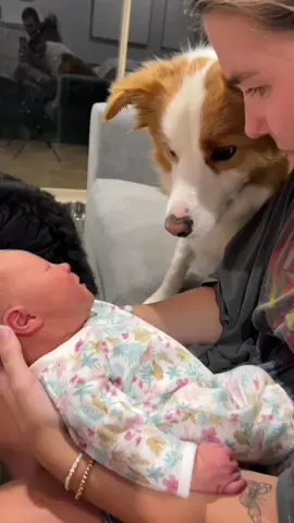 I have now memorized it’s smell.l shall protect it with my life for as long as i shall live #baby #Love #dog #fyp #fouryou #tiktok #lovebaby 