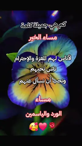 #مساء_الخير 🥰❤🌹