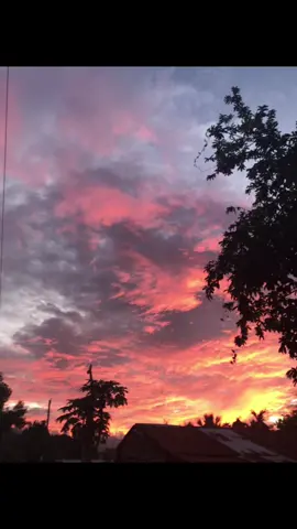 Free use #sunset#livephoto 