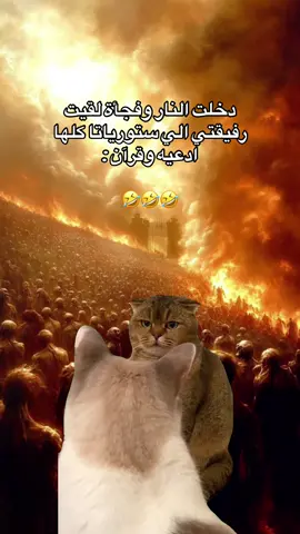 #CapCut #الشعب_الصيني_ماله_حل😂😂 #germany #trendy #duet #ترند #foryoupage❤️❤️ #طاقة_ايجابية #369 #virall #fyppp #تابعوني #اكسبلور #سوريا_تركيا_العراق_السعودية_الكويت #سوريا_المانيا #foruyou #explore #مالي_خلق_احط_هاشتاقات 