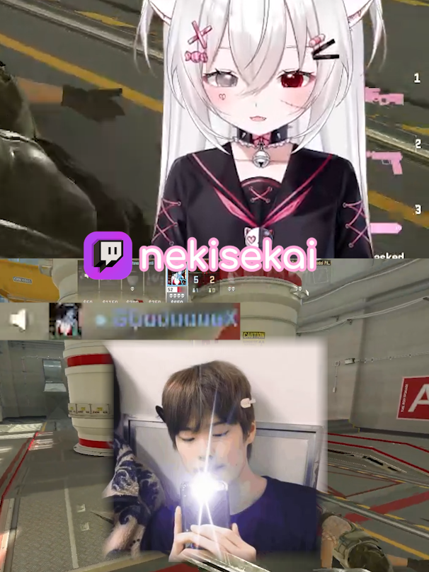 фотограф #twitch #nekisekai #vtuber #vtuberclips #втубер #твич #рекомендации #fyp #vtubers #cs2 #cs #40seconds