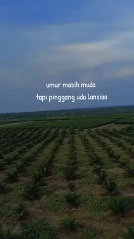 ya begitulah anak muda sekarang #viral #kulisawit #lewatberandafyp #fyp 