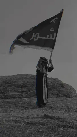 #CapCut #اكسبلور #العراق🇮🇶 #شمر_الطنايا #الاسلم_عبده_سنجاره 