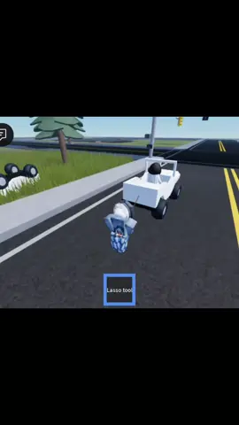 playing with V4mp: @cosmo3_2233 / @bloxworldforlife ;3#shareboosdiary #raiseboowithme #adoraboo #evadeclan 