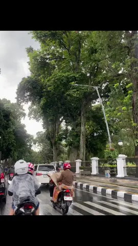 bogor after rain #xyzbca #kebunrayabogor 
