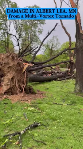DAMAGE IN ALBERT LEA, MN from a Multi-Vortex Tornado #tornado #storm #rain #wind #disaster #severeweather #weather #news #damage #multivortex #albertlea #Minnesota #USA #foryou #viral 