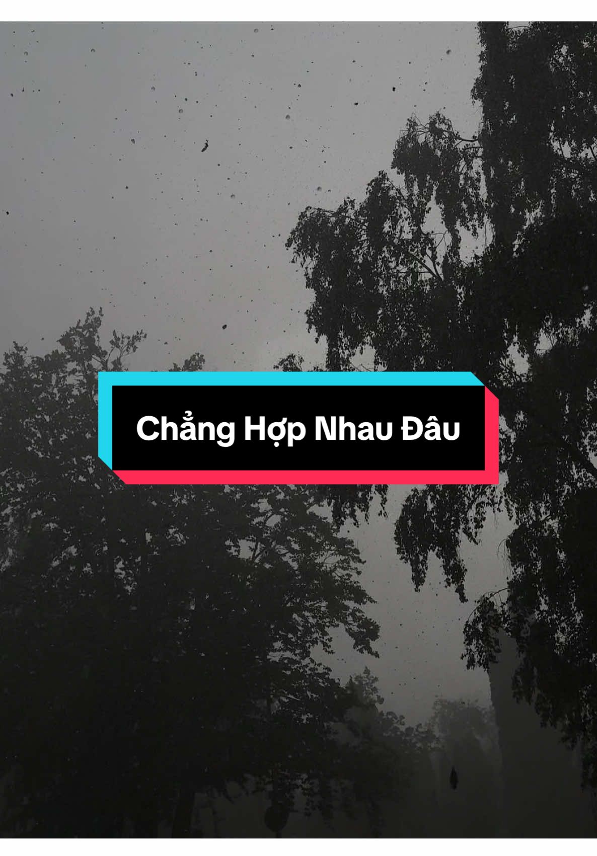 Nhìn hoàng hôn đang xuống sau đồi #CapCut #mopic30 #lyrics #xh #thinhanh #fyp #fypシ 