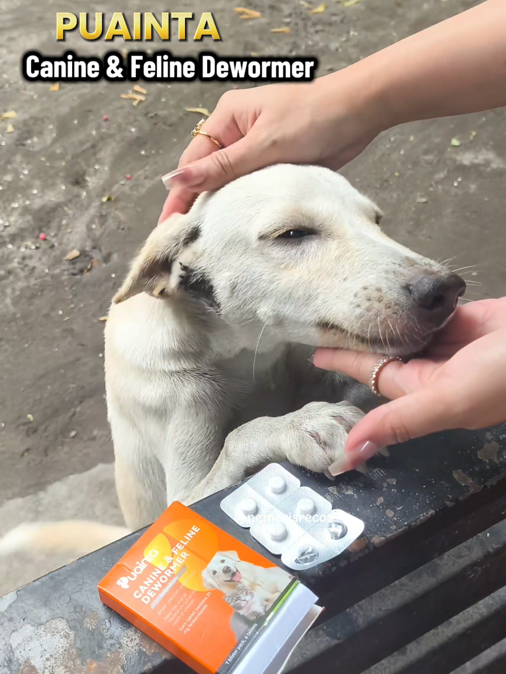 @Chryzella ⬅️✨🐕✨ ... Ang laking tulong sakin nitong Puainta Canine & Feline Dewormer kasi sobrang dali nya lang ibigay sa mga alaga ko ✨ #puaintadewormer  #dewormerfordogs  #dewormerforcats  #puaintacaninefelinedewormer  #puaintaph  #puainta  @Puainta Shop 