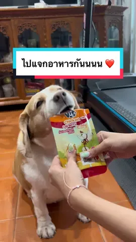 ไปแจกอาหารให้เด็กๆในบ้านกันนนนน ของแซ่บต้องเผื่อแผ่ 🤤 #VIFEveryDayaGoodDay #VIFEvent #มู่ทู่หมามีม #bigmootoo #มู่ทู่ 