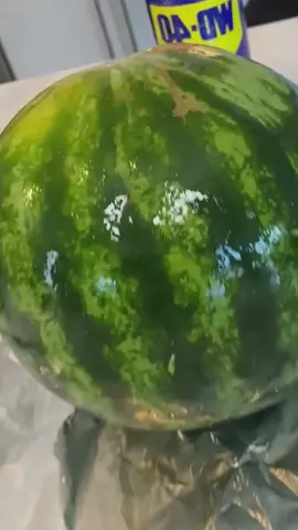 #tiktok #viral 