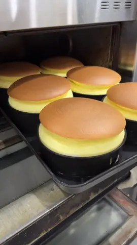 Japanese style fluffy cheesecake in Korea #japanesefood #koreanfood #seoul #mukbang  📍타누끼 치즈케이크, 대구