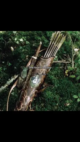 #FANTASY — hey so which one of you does secretly have powers cause the world can’t be that boring right? #fantasyworld #fantasy #fantasymovie #fantasybooktok #fantasyserie #gameofthrones #narnia #harrypotter #thewitcher #magical #fantasytok 
