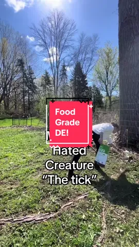 Because of this I am not afraid of my backyard anymore #ticks #foodgradediatomaceousearth 