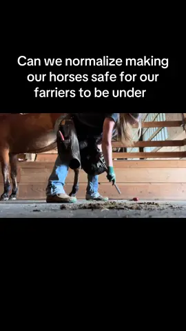 It’s hard work being under a horse let’s make it as easy as possible for our farriers. #fypシ゚viral #rio#rening #cowhorse #aqha#farrier 