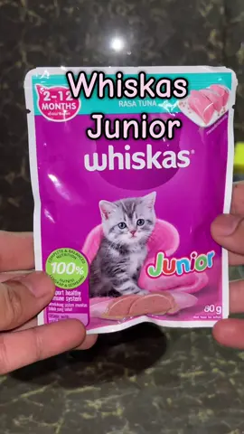 Whiskas Junior wet food recommendations para s amga pets nyo na mag iistart palang kumain. #whiskas #whiskaswetcatfood #wetcatfood #catfood  
