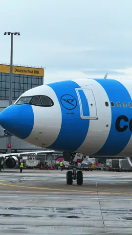 #avgeek #FRA #frankfurt #airport #germany🇩🇪 #condor #airline #a330_900neo #passion #flying #blue #flypシ #trip #travel #beauty #sky #aircraft #plane #planespotting #aviation #aviationdaily #aviationlovers 