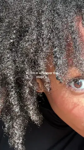 My locs are so dry yall, I don’t mind the frizzy but I feel like I be spraying my hair 3x a day helppp😑   #staterlocs #twostrandtwistslocs #loccommunity 