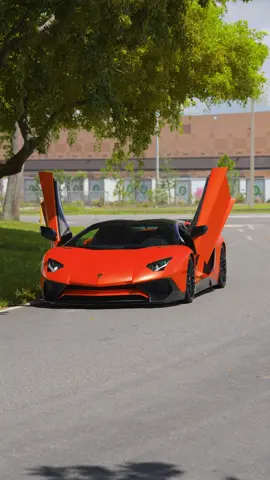 The streets just got a new ruler 👑🔥 This one-of-one Arancio Atlas Pearl Aventador SV is fully unleashed: 💥 Gintani-tuned with a custom Gintani exhaust 💥 Sitting on Novitec springs + side skirts 💥 Loaded with carbon fiber from front to back Now available exclusively at iLusso Palm Beach 🌴 DM us or hit iLusso.com for full details & pricing. #AventadorSV #LamborghiniLife #Gintani #Novitec #CarbonBeast #SupercarGoals #iLusso #PalmBeachExotics #LuxuryOnWheels #OneOfOne #carsoftiktok #lamborghiniaventador #lamborghini 