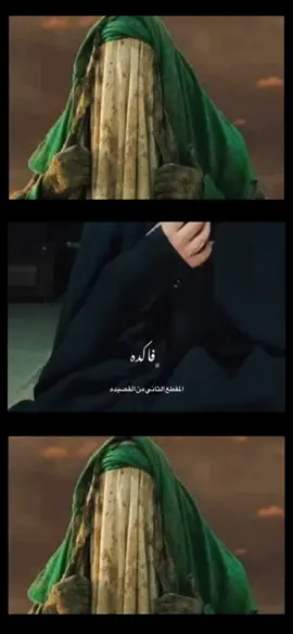 فاكدة ومحد نشدني @بَـتول الــهاشمي #🕊️امواج_البحر🕊️ 
