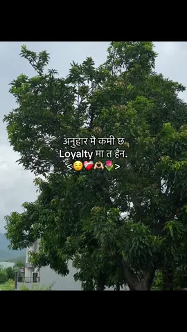 अनुहार मै कमी छ Loyalty मा त हैन#anjana_fam💗🥀🖤_ #relatedfellings❤️ #viralvideo #anjana_editz #support #viralvideo 