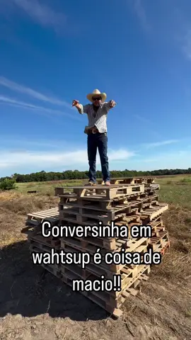 #agro #agrotaigo #agronomia #soja #agronegocio #agronegocio #milho #agricultura #fazenda #sertanejo #agriculture