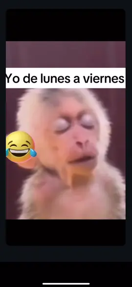 🤣🤣🤣🤣 #fypシ #pendejadas #world #humor #forlike #weekend 