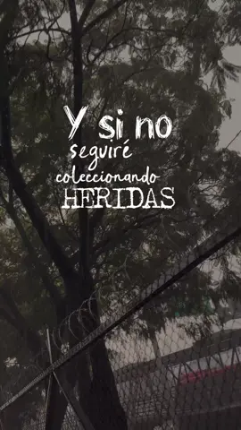Karol G, Marco Antonio Solís/ Coleccionando Heridas ❤️‍🩹 #CapCut #coleccionandoheridas #karolg #marcoantoniosolis @Karol G @Marco Antonio Solis #ranitalila #chocomaris #videoslyrics 