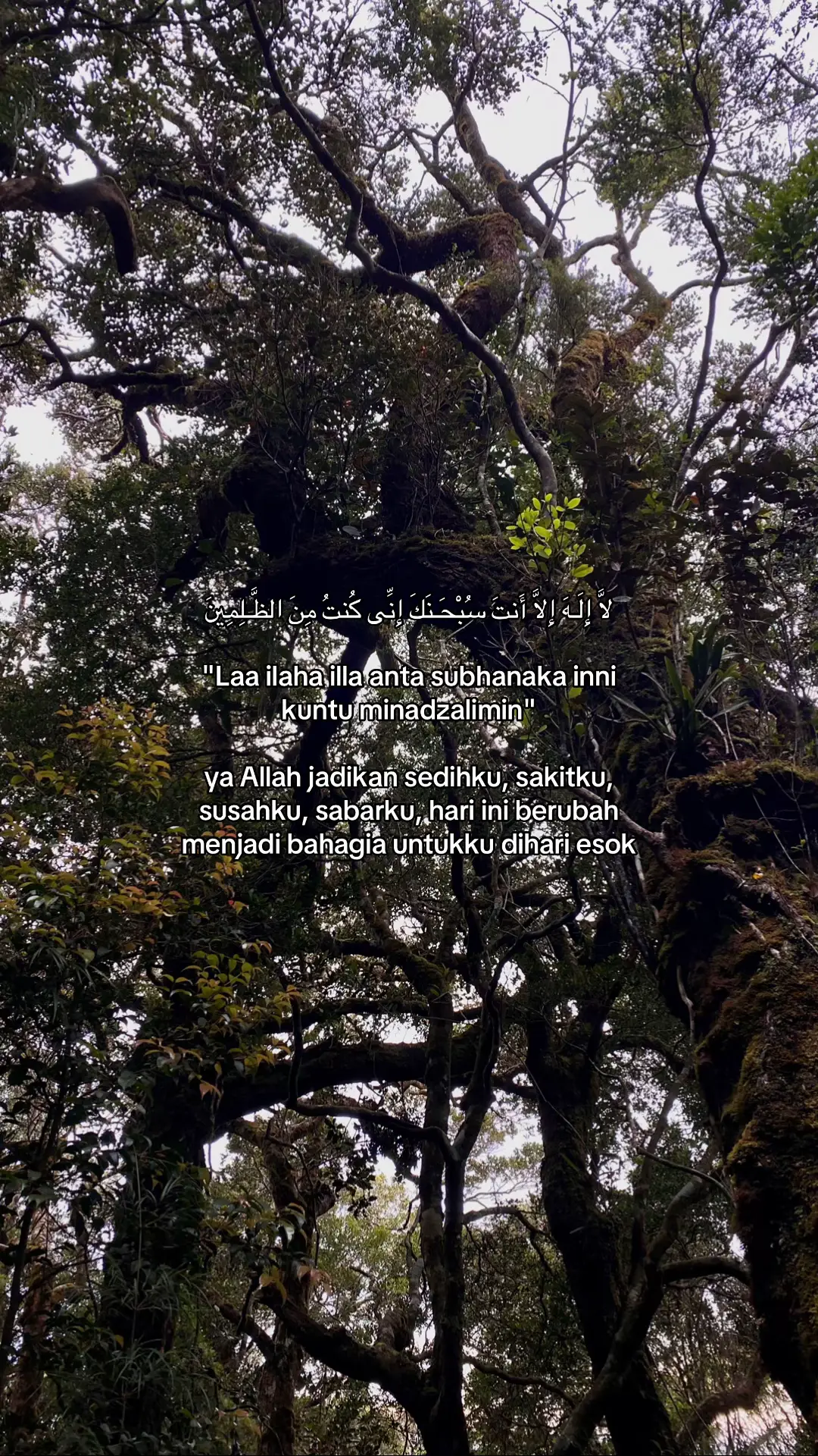 #quotes #reminder #selfreminder #reminderislamic #fyp #foryou #mirrhythm 