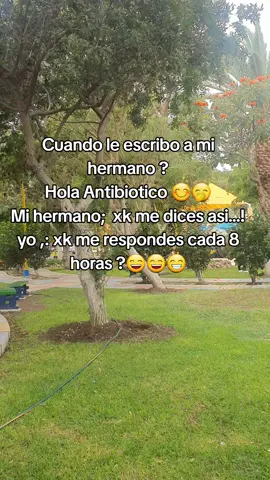 #hermanos #somoshermanos #hermanoquerido #bromahermanos #hermanomayor 