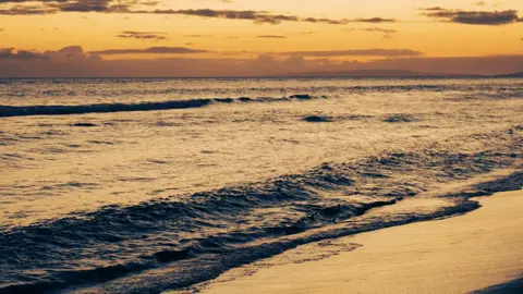 summer in maui #cinematography #hawaii #ocean #sonyalpha #videography #fyp 