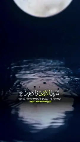 #قرآن #Quran #القران_الكريم #UK #islamic #unfreezemyacount #القران_الكريم_راحه_نفسية😍🕋 