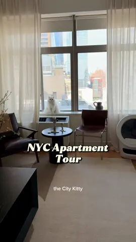 The highly anticipated NYC apartment tour featuring the crown jewel of the apt, the @Litter-Robot 🤍 #litterrobotpartner #persiancat #nyccat #catsofig #angrycat #cutecats #whitepersiancat 