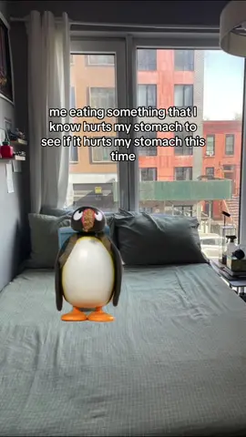 me against my stomach #pingu #nootnoot #nostalgia #lactoseintolerant #tummyache 
