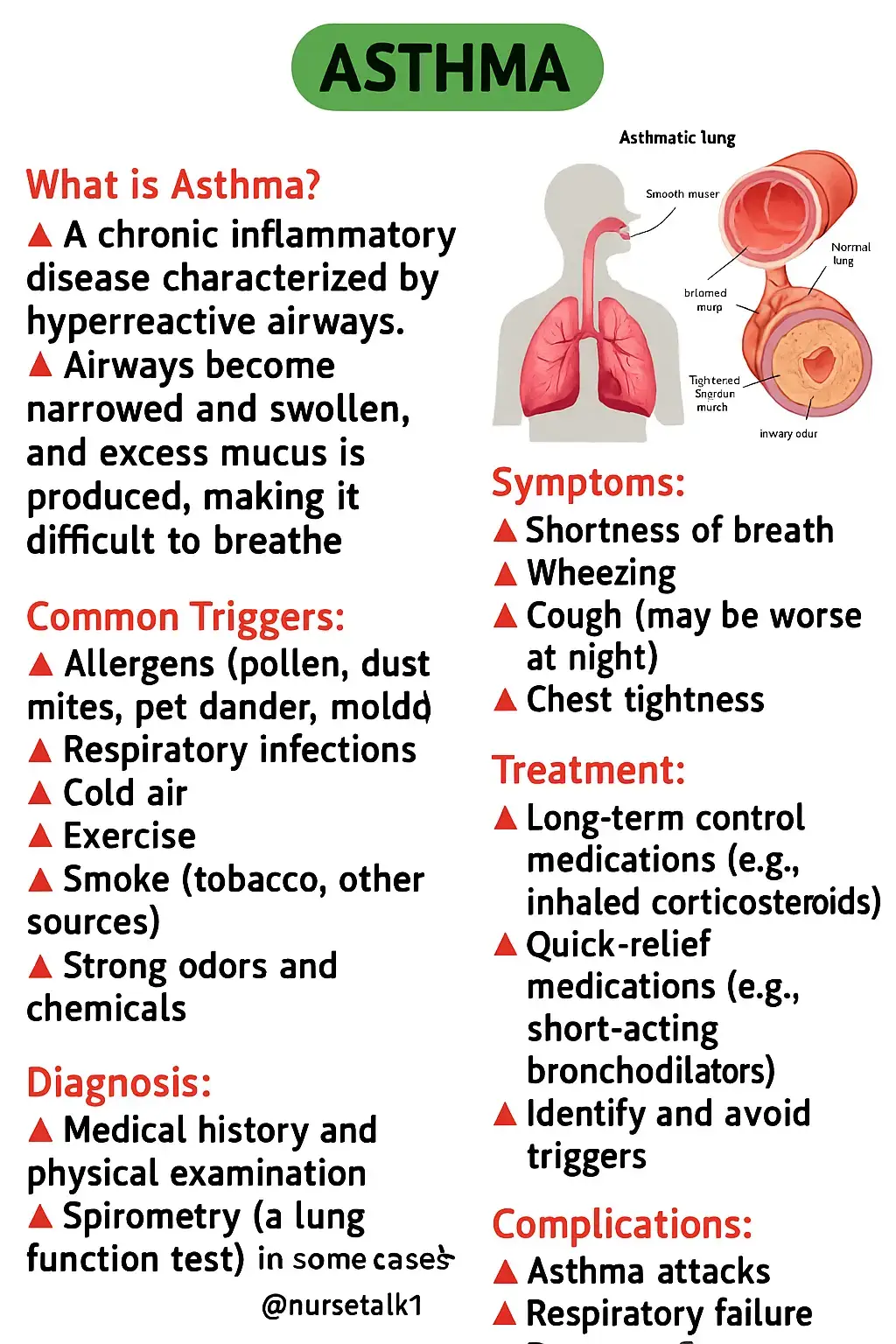 Learn what really causes asthma and how to manage it 💊🫁 Save this — someone you know might need it! #nursetalk1  #asthmaawareness  #respiratorycare  #nursingtips  #medicalnotes  #wheezing  #breathingissues  #nursetok  #tiktoknurse  #healtheducation  #studytok  #nursetalk1  #pathophysiology 