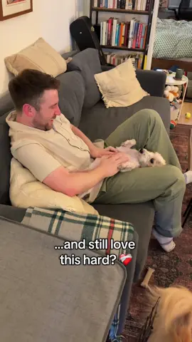 We don’t deserve dogs. ❤️‍🩹 @Animal Care Centers of NYC @Muddy Paws Rescue 