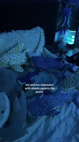 hell yeah// 🦈🫧 // my shark/ocean room!! //yes I know the wall I showed of my room hasn’t got many shark posters but I still added it! #sharklover #shark #relatable #sharks #fyp #RoomTour #bedroom #ocean #room #foryour #funnytiktok 