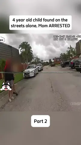 Part 2 : #bodycam #cop #police #bodycamcops #FBI #cops 