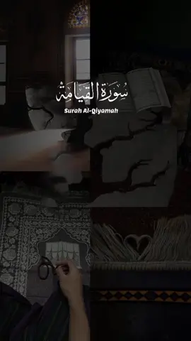 #CapCut #ارح_سمعك_بالقران #قران #قران_كريم #تلاوة #تلاوة_خاشعة #تلاوة_مؤثرة #quran #quran_alkarim #islamic_video #islamic #explore #fyp #قوالب_كاب_كات #اكتب_شي_توجر_عليه 