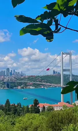 #turkishfood #izmir #bursa #istanbul #turkishdrama #mardin #antalya #explore #loveistanbul #bakhlawa #تركيا🇹🇷اسطنبول #loveturkey #uskudar #foryou #fyp #taksim #turkishairlines #galatatower #foryoupage #turkey 