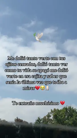 Te extrañaré toda la vida #rip #dep #grief #duelo #family #familia #fyppppppppppppppppppppppp #paratiiiiiiiiiiiiiiiiiiiiiiiiiiiiiii 