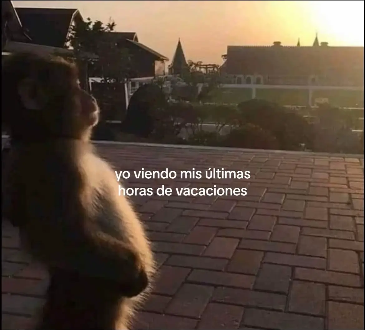 😭#escuela #vacaciones #encierro #vuadernos #lapiz #paratii #pourtoi #dubai 