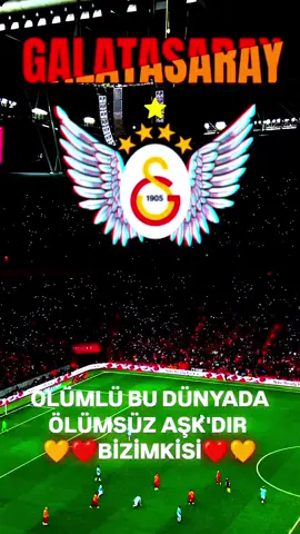 Böyle aşk duydunuz mu  💛❤💛❤ #viralvideo #galatasaray #keşfet #alisamiyen 