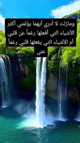 #اكسبلور 