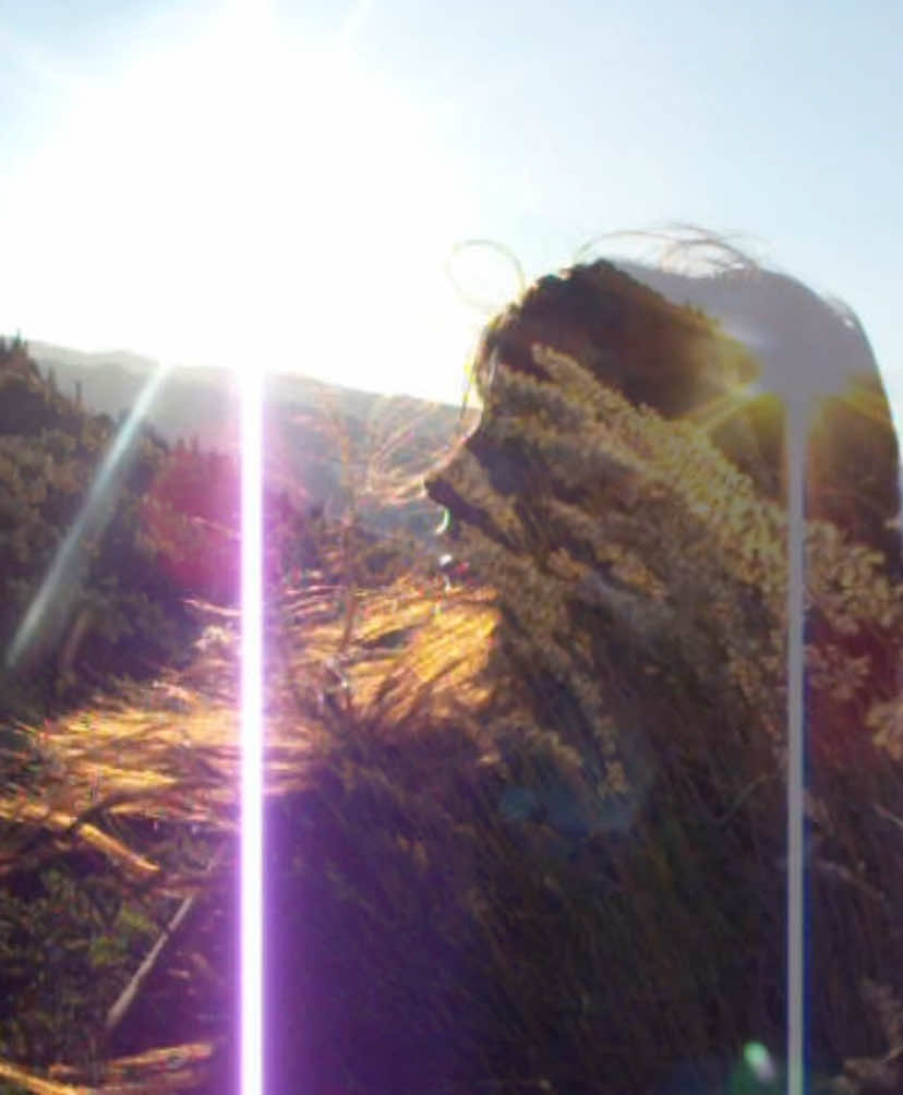 wind, me and flowers #nature #wind #sunset #fyp 