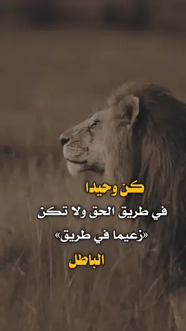 كن وحيدا في طريق 👌✋  #عبارات #اكسبلور 