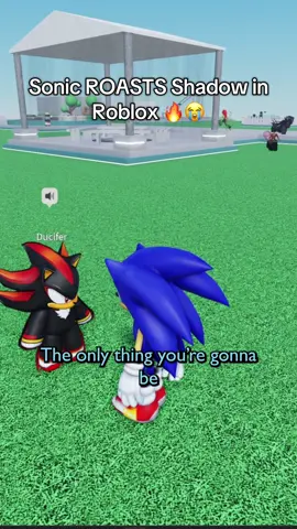 Sonic went TOO hard on Shadow here.. #roblox #robloxfyp #robloxvc #robloxtiktok #robloxmemes #fyp #micup 