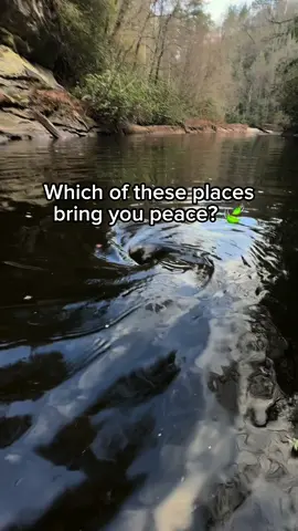 Which of these places bring you peace? 🍃 #fyp #vibes #relaxing #aesthetics #nostalgia #peace #lockdown #whichonewouldyoupick 
